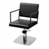 Fauteuil de coupe Lyres